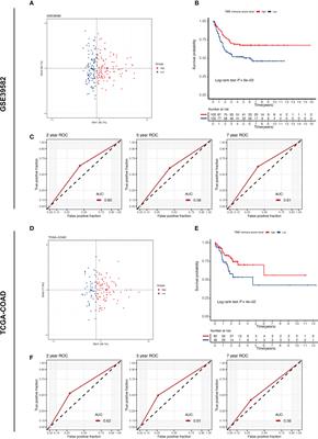 EPSTI1 as an immune biomarker predicts the prognosis of patients with stage III colon cancer